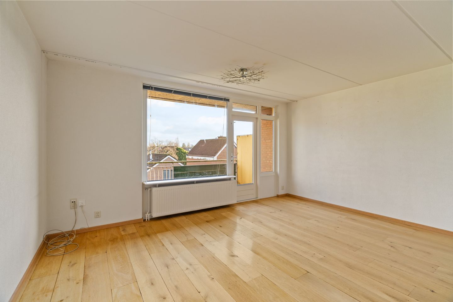 Foto 4 van Penningkruid 28