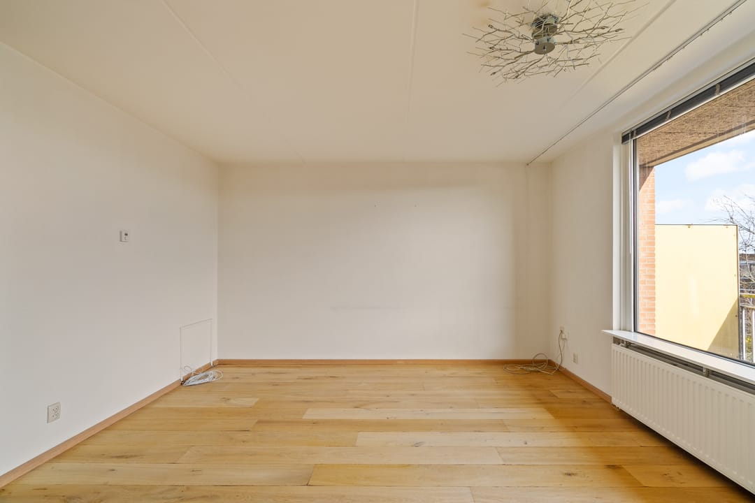 Foto 7 van Penningkruid 28