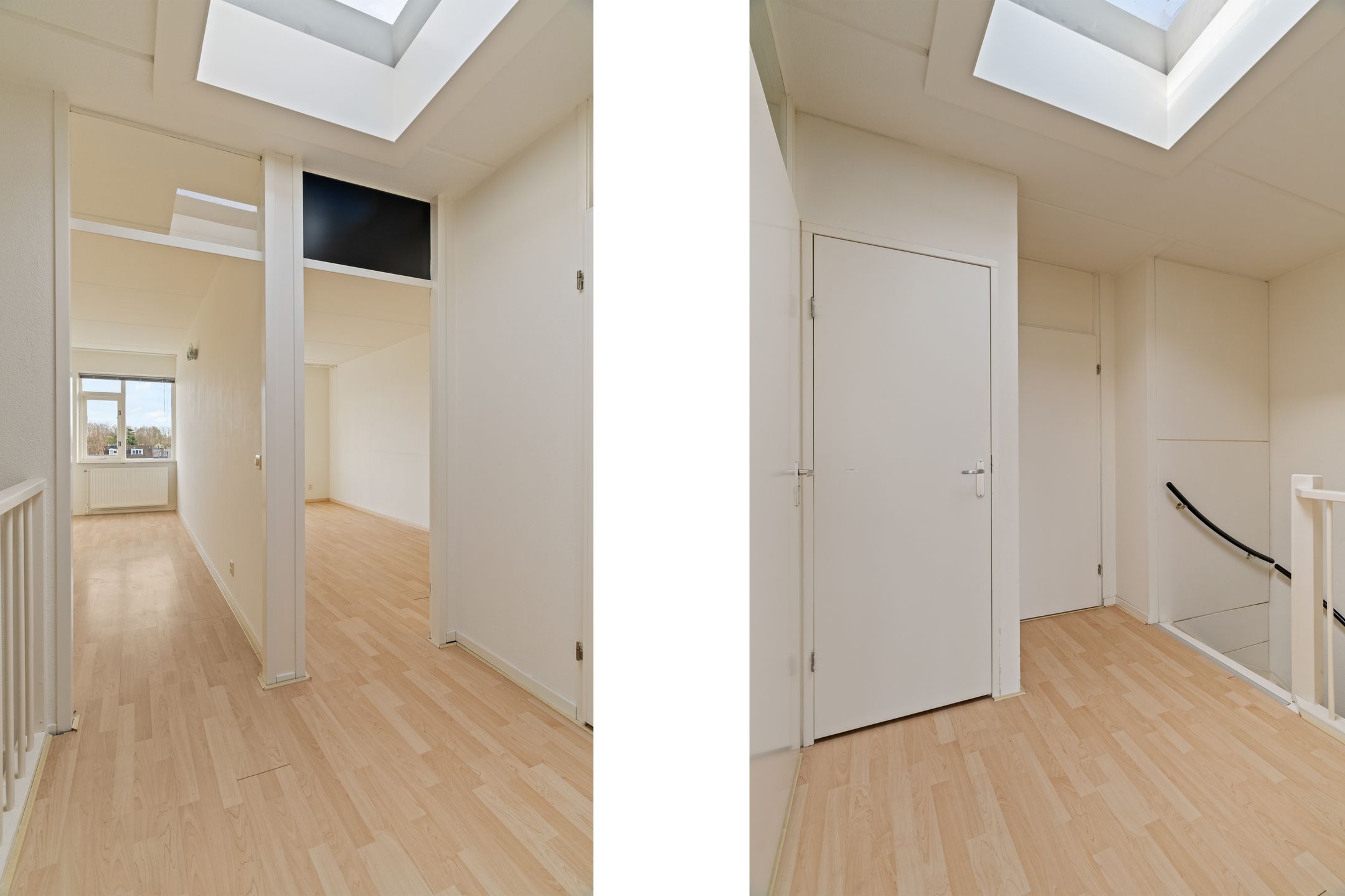 Foto 12 van Penningkruid 28