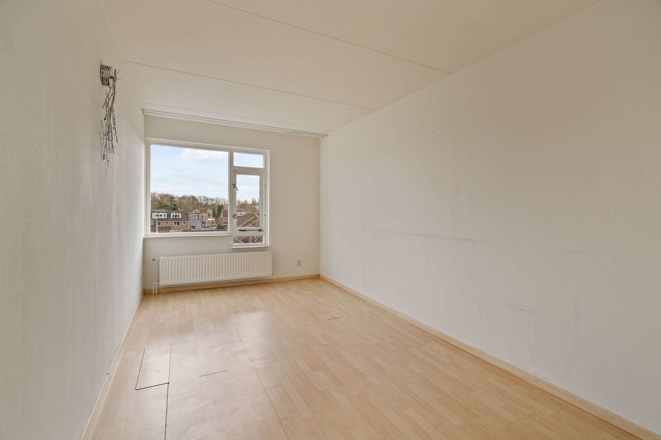 Foto 15 van Penningkruid 28