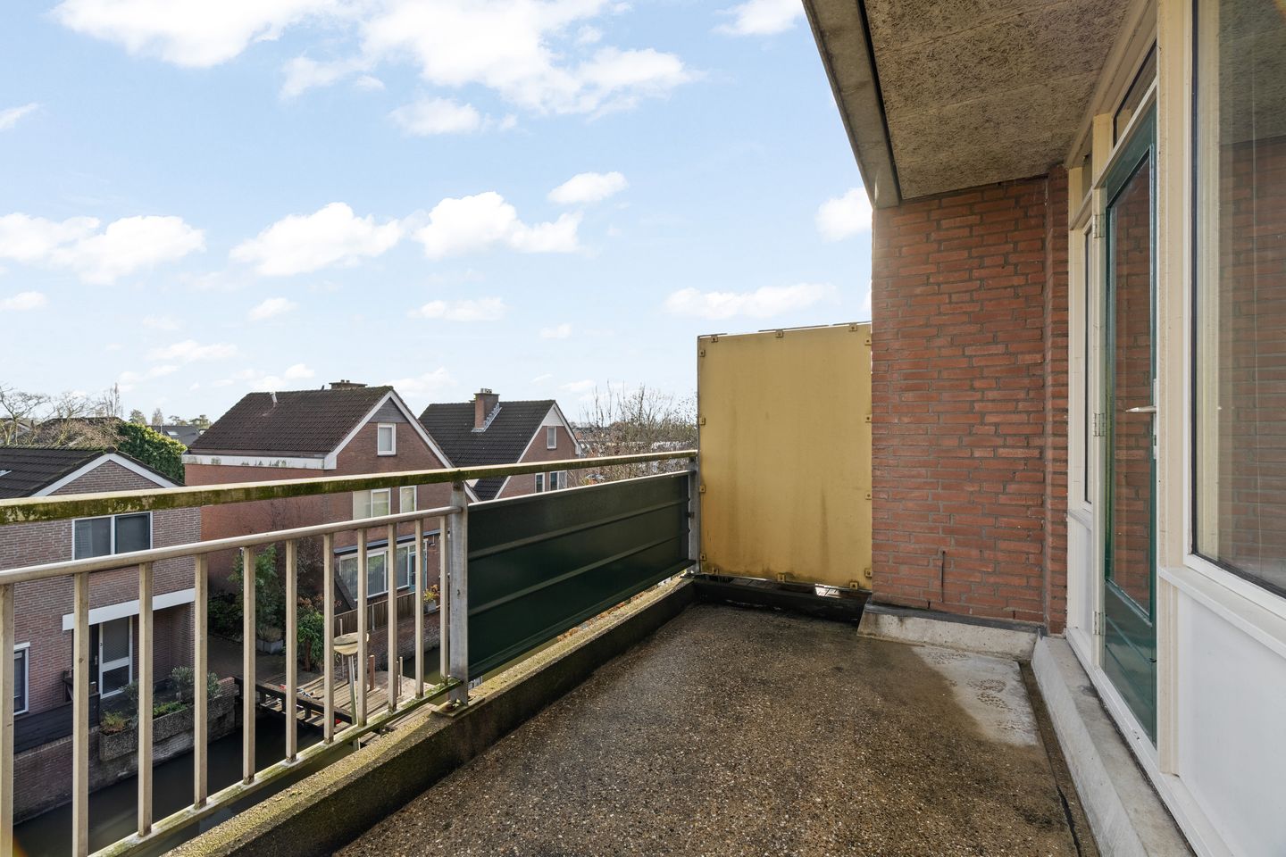 Foto 20 van Penningkruid 28