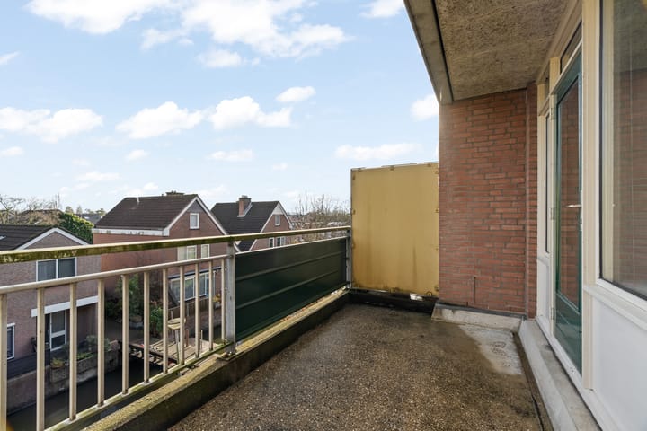 Foto 20 van Penningkruid 28