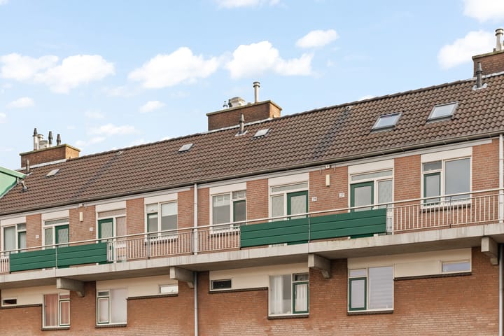 Foto 22 van Penningkruid 28