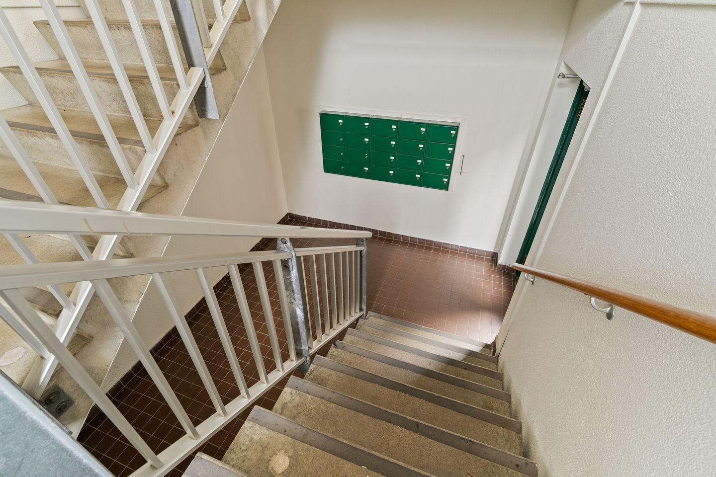 Foto 25 van Penningkruid 28