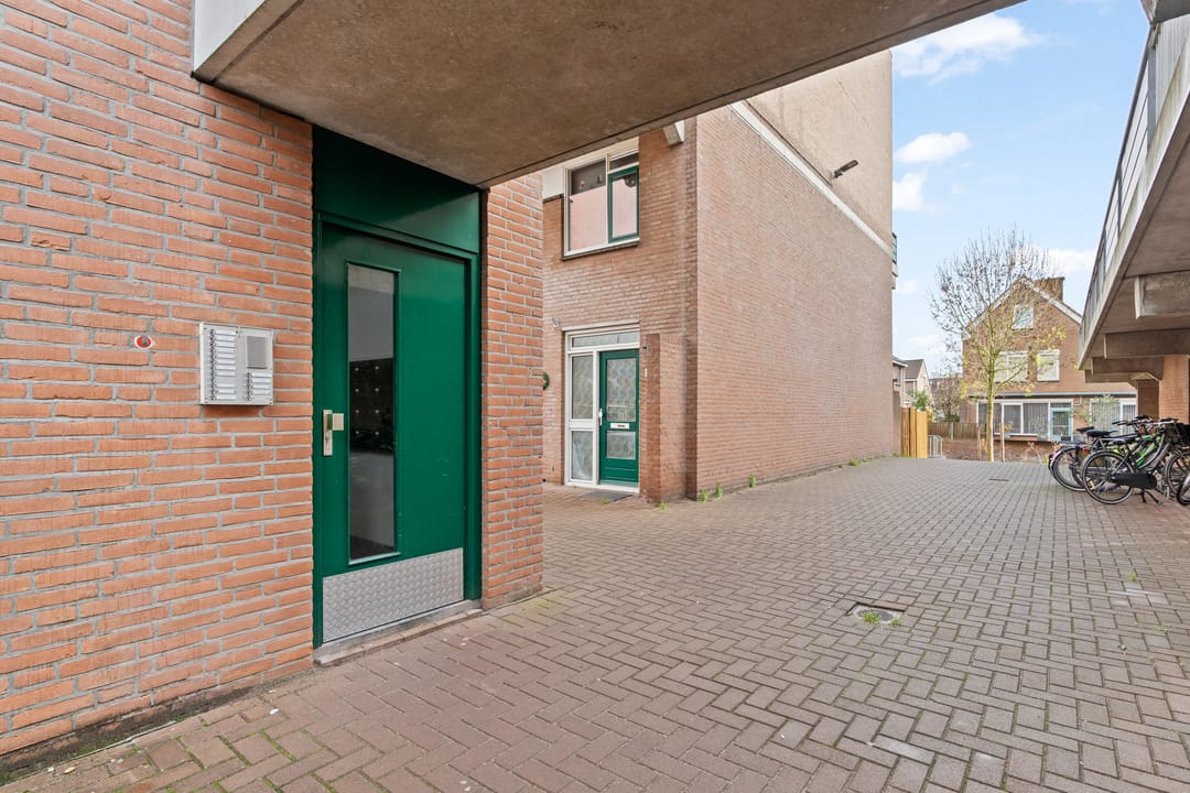 Foto 26 van Penningkruid 28