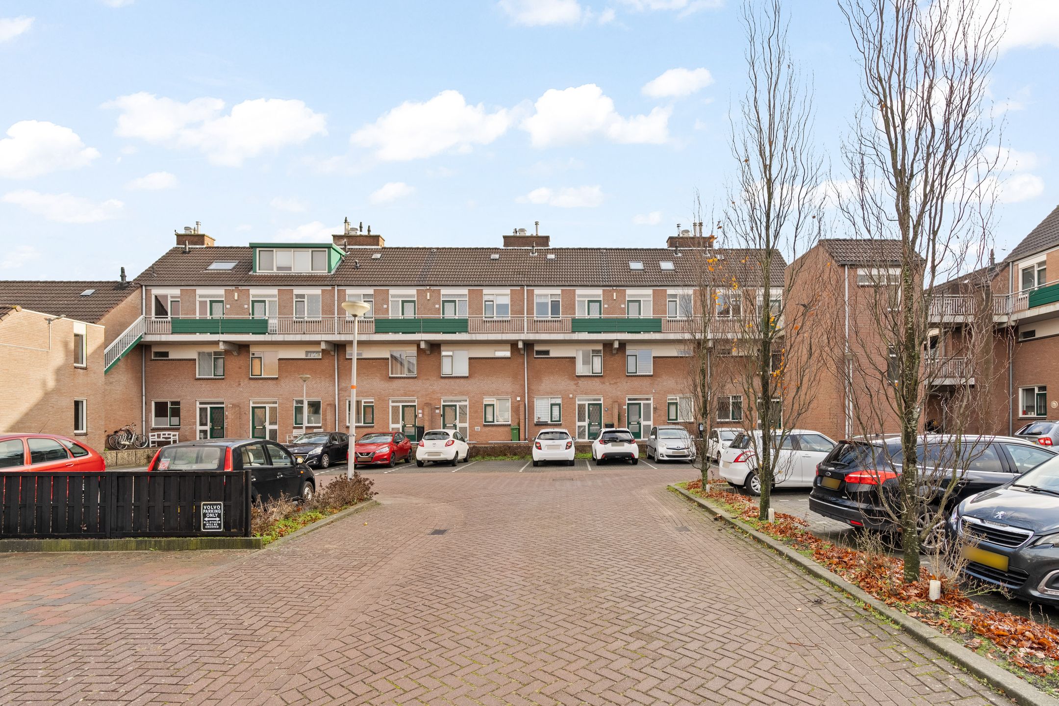 Foto 27 van Penningkruid 28