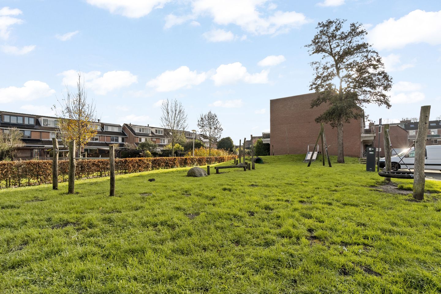 Foto 29 van Penningkruid 28