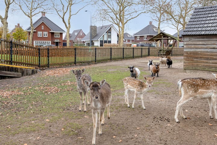 Foto 49 van Voorstveld 3