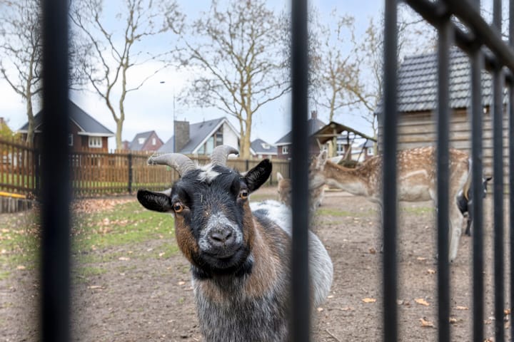 Foto 51 van Voorstveld 3