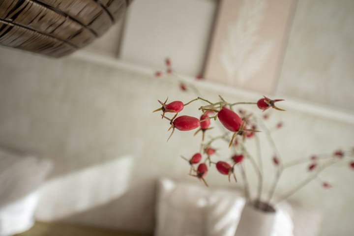 Foto 18 van Markgraaflaan 92