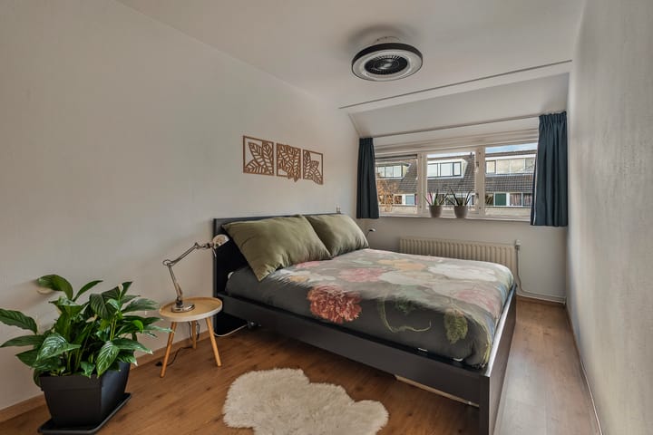 Foto 12 van Rietdekker 40