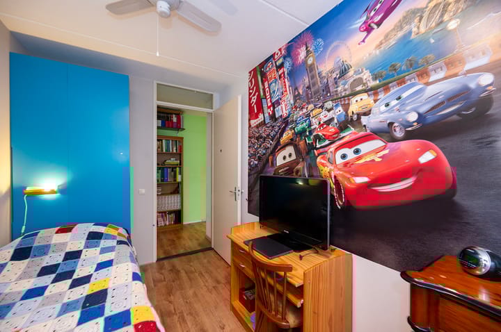 Foto 30 van Professor Cumulusstraat 4