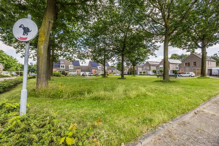 Foto 3 van Klaverbeemd 4