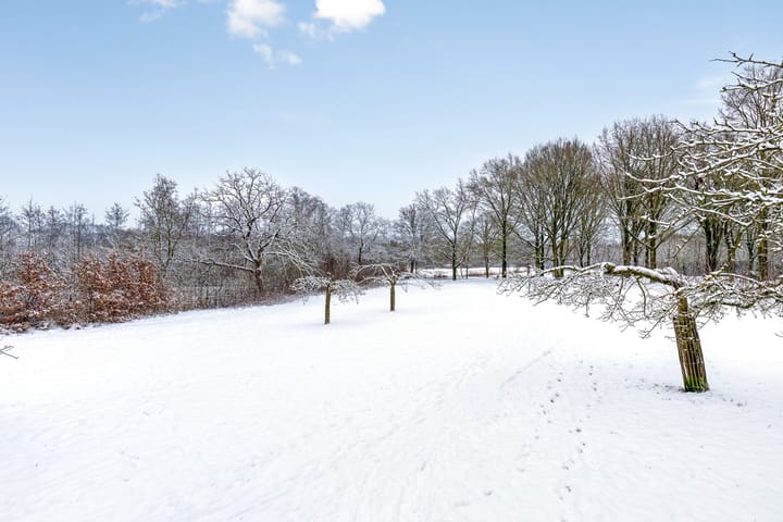 Foto 61 van Kortbree 5