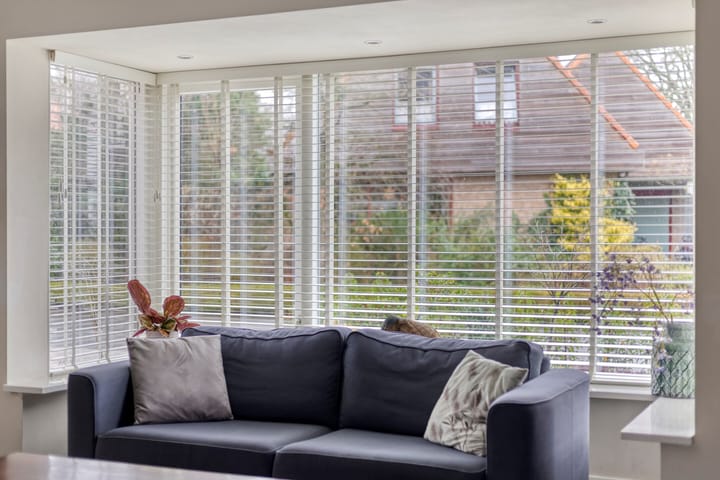 Photo 4 of de Plevier 36