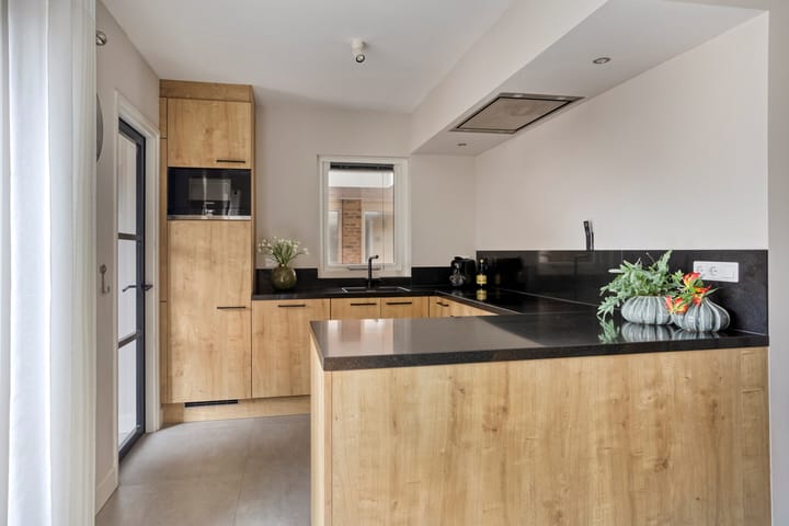 Foto 8 van de Plevier 36