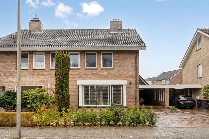 Foto 38 van de Plevier 36