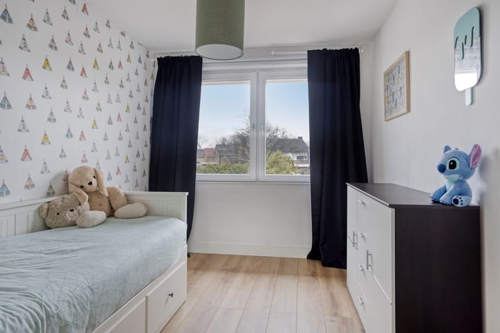 Foto 21 van de Plevier 36