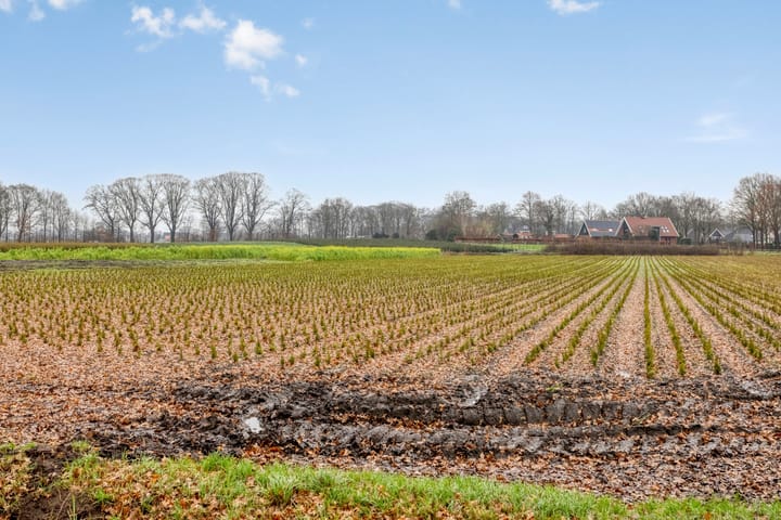 Foto 42 van de Plevier 36