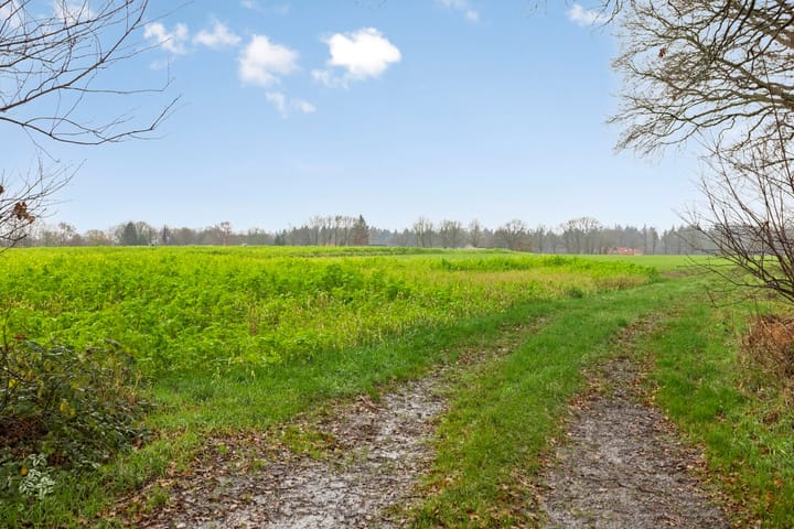 Foto 41 van de Plevier 36