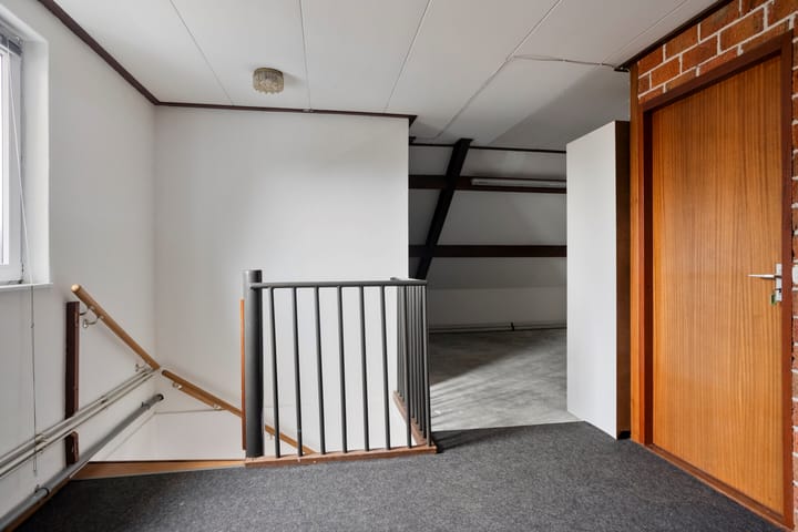 Foto 29 van de Plevier 36