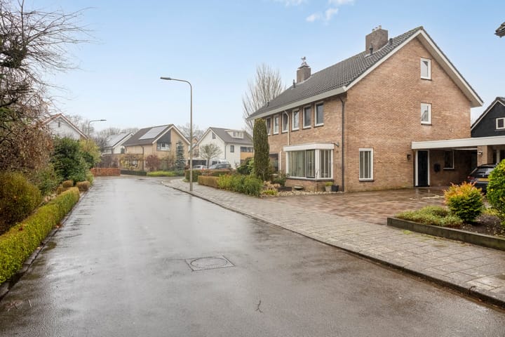 Foto 39 van de Plevier 36