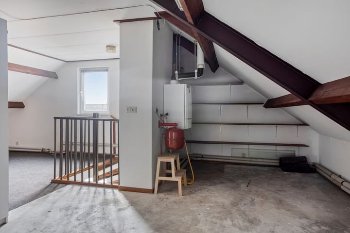 Foto 30 van de Plevier 36