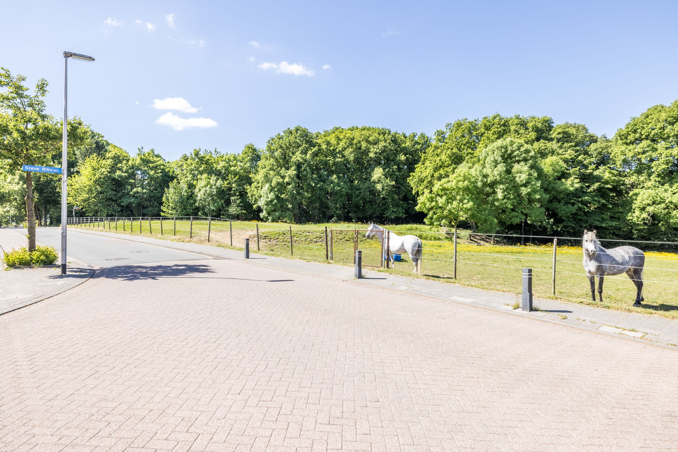 Foto 54 van Steve Bikostraat 35