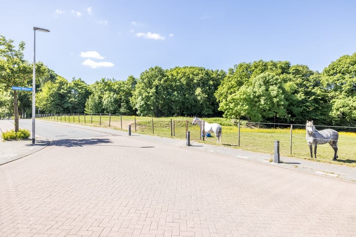 Foto 54 van Steve Bikostraat 35