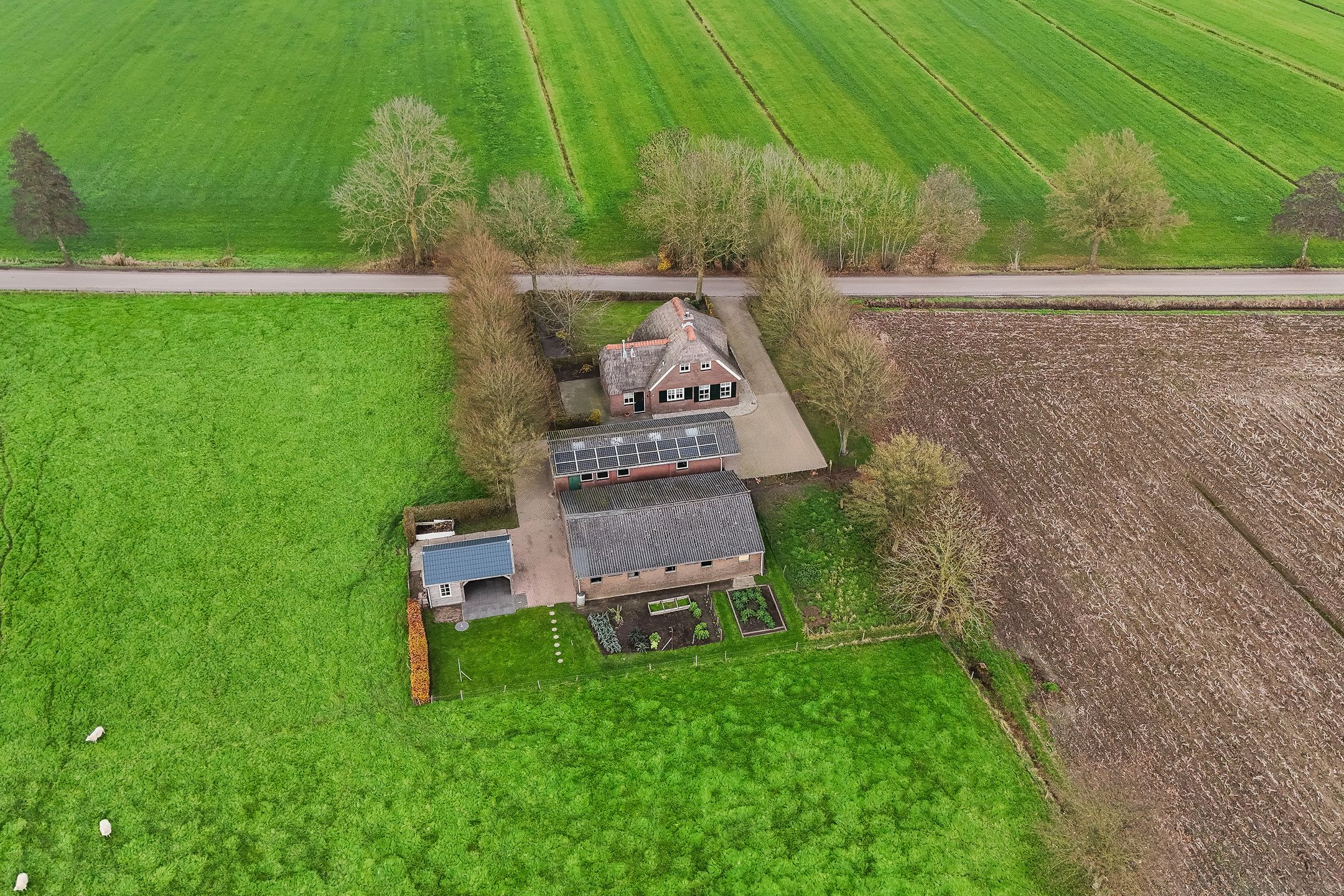 Foto 42 van Lt. Andersonstraat 14