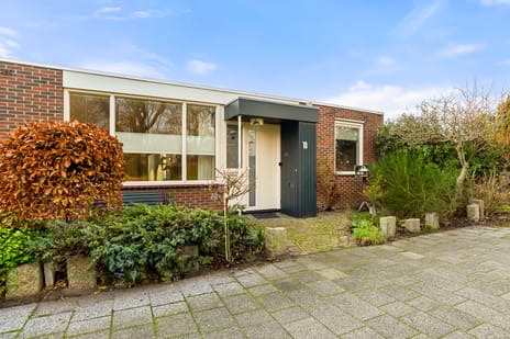 undefined main image