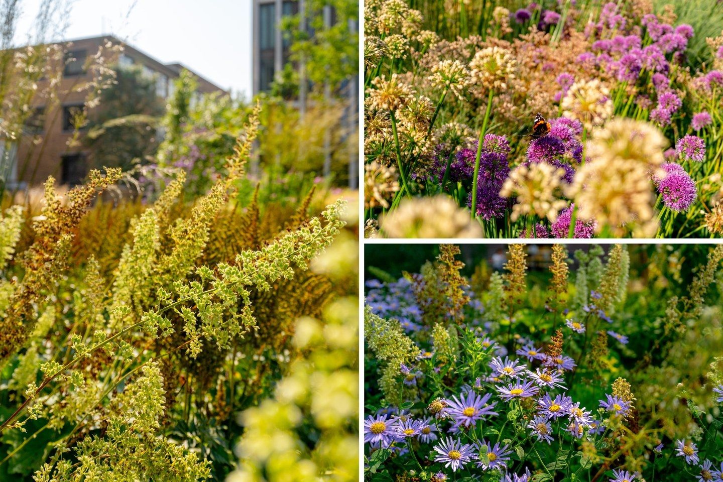 Foto 34 van Maalderijstraat 21