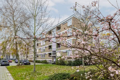 Augustinusstraat thumbnail