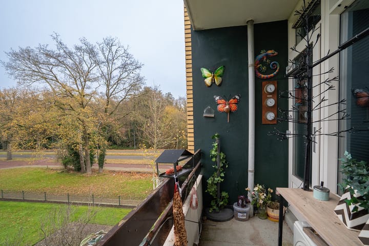 Foto 19 van Herculesstraat 104