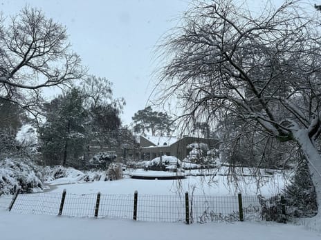 Postelscheheideweg 2 secondary image