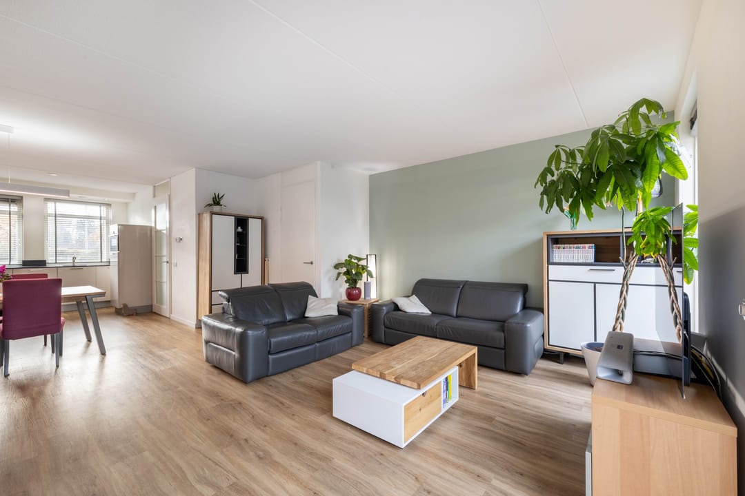 Foto 7 van Springerstraat 56