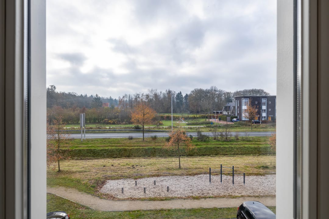 Foto 26 van Springerstraat 56