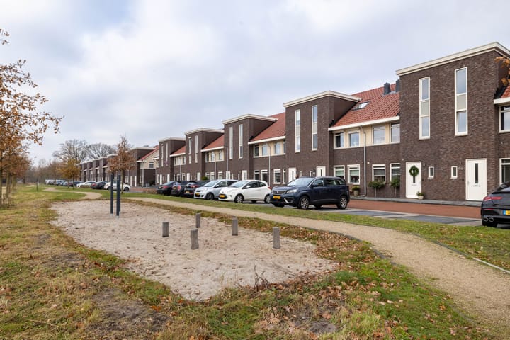 Foto 30 van Springerstraat 56