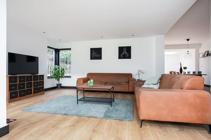 Photo 15 of Van den Berghlaan 607