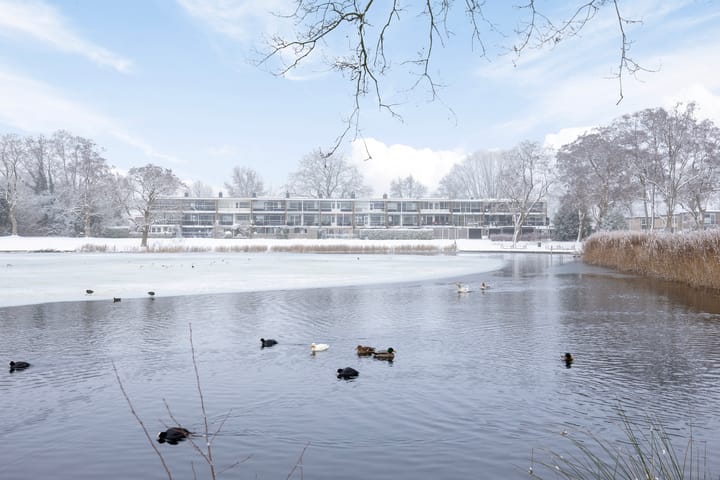 Foto 50 van De Blinken 7