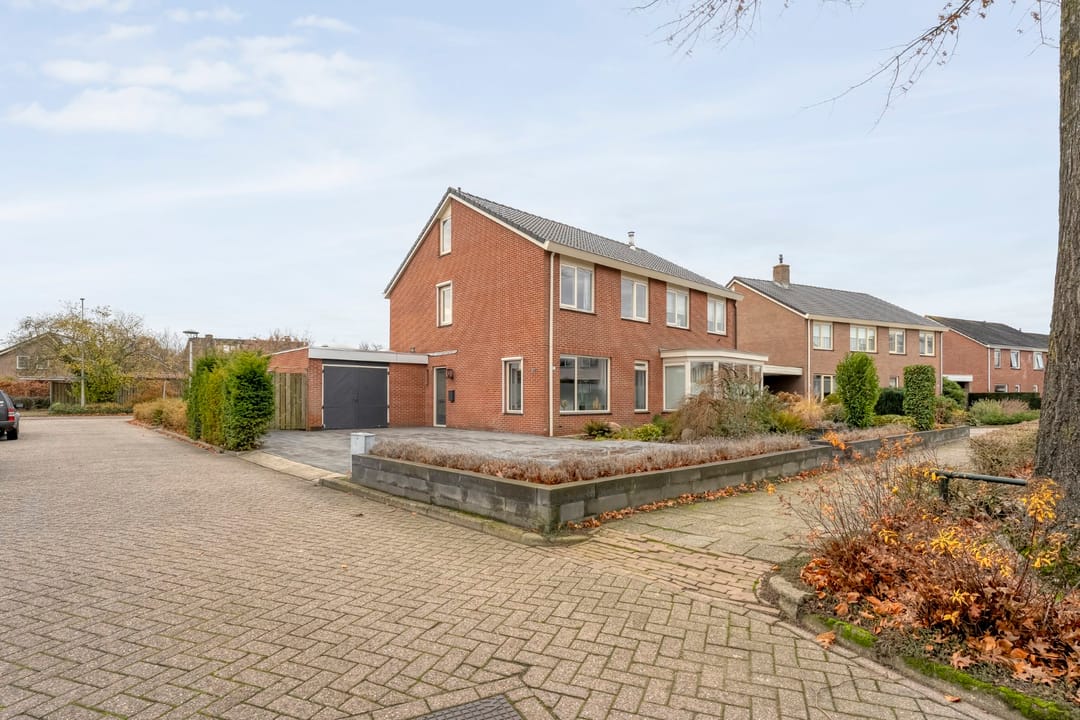 Photo 1 of Roodborst 24