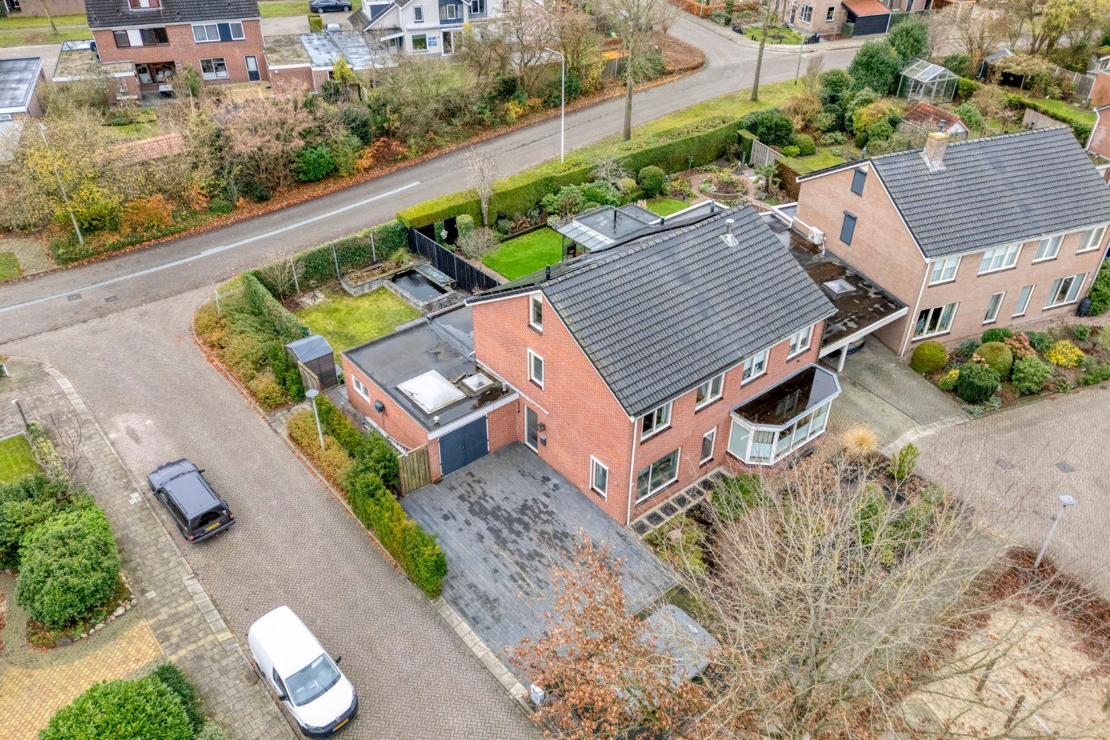 Photo 3 of Roodborst 24