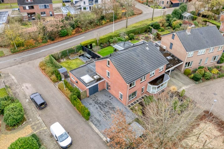 Photo 3 of Roodborst 24