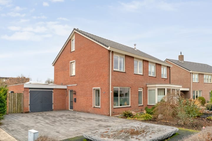 Foto 5 van Roodborst 24