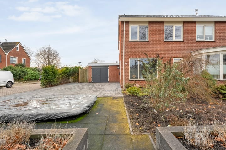 Foto 6 van Roodborst 24