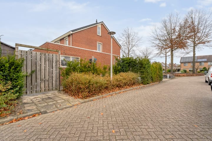 Foto 7 van Roodborst 24