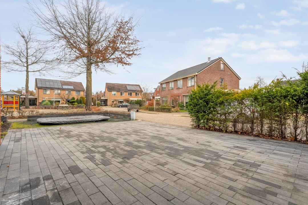 Photo 8 of Roodborst 24