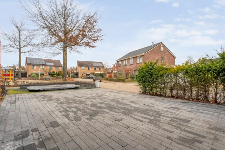 Foto 8 van Roodborst 24