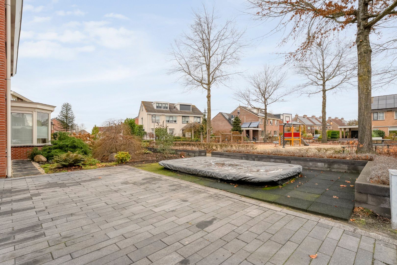 Photo 9 of Roodborst 24