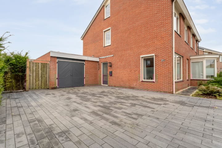 Foto 10 van Roodborst 24